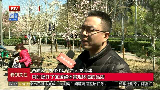 莲花河畔春意盎然 滨水绿道扮靓环境