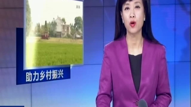 泰州:助力乡村振兴 69名乡贤回村任职