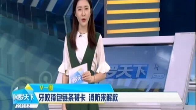 牙咬挎包链条被卡 消防来解救