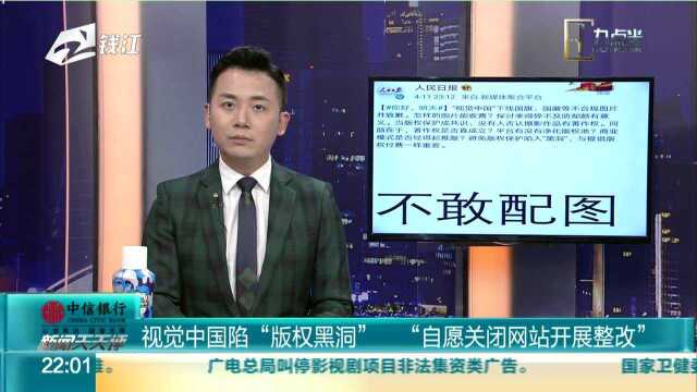 视觉中国陷“版权黑洞” “自愿关闭网站开展整改”