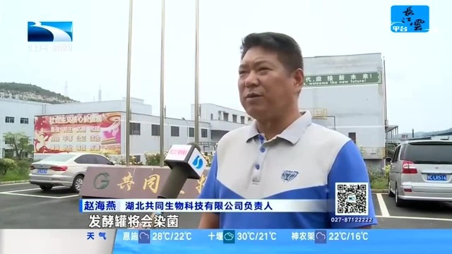 丹江口:带电作业“两全其美” 兼顾企业用电需求