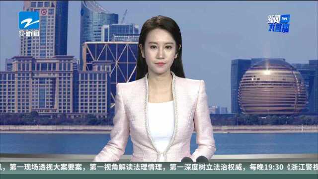 杭州江干警方境外“猎狐” P2P案件嫌疑人徐丹娟被缉捕回国