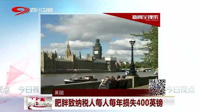 英国 肥胖致纳税人每人每年损失400英镑