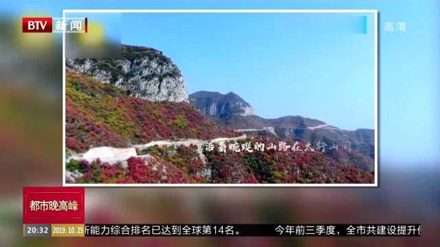 山西平顺:太行天路漫山遍野红叶 如童话世界