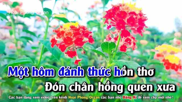 Nếu 䐆𐡻㣠L㠭 Ng氡𛝩 T㬮h  Tone Nam