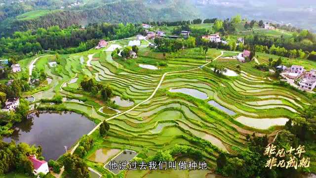 【非凡十年非凡成就】之粮食安全篇:中国粮 中国种