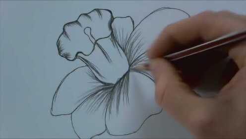 教你如何在6分钟内手绘出一朵漂亮的花