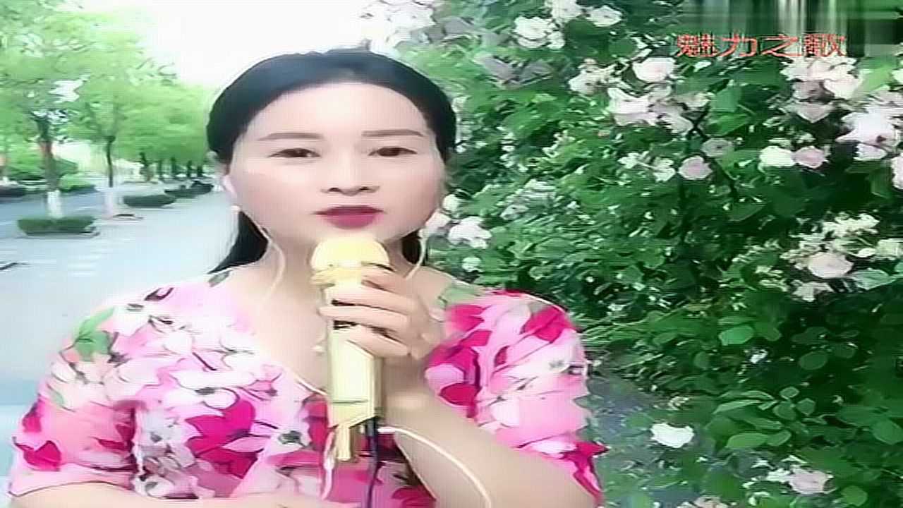 徽州美女孟欣雨在蔷薇花下深情演唱《我在春天里等你》