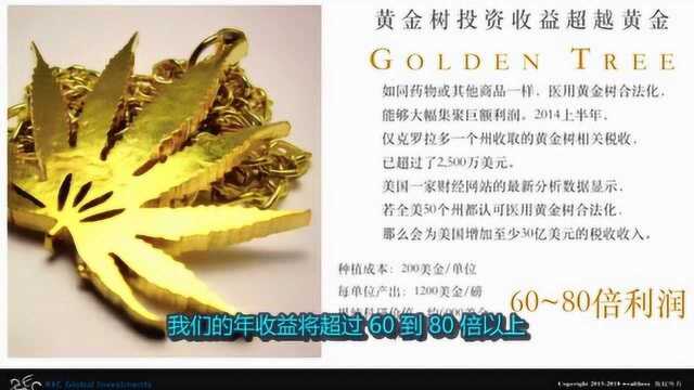 REC黄金树实体经济与金融结合,高维度公司进军市场