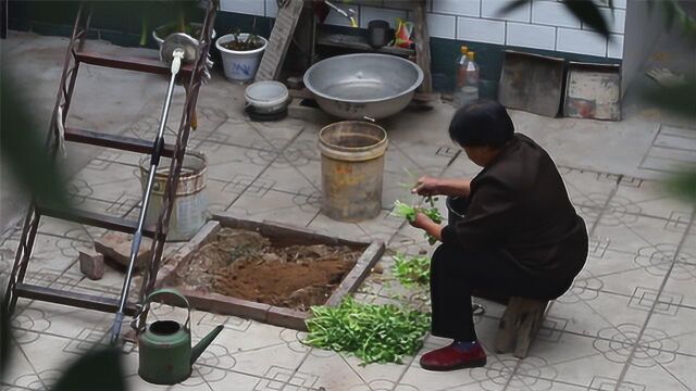 微纪录:独自老去——聂父走后的张焕枝