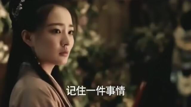 大晟朝长公主爱上仇人的儿子,只因一幅美人画