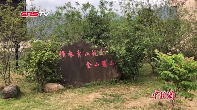 福建闽侯孔元村变身醉蝶花海烂漫秋色引游人