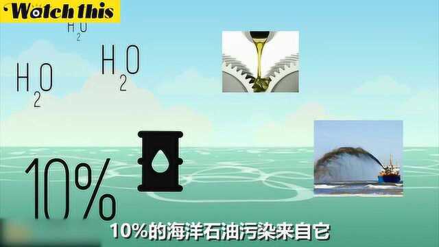 4分钟带你了解海洋石油污染石油泄漏为什么危害如此之大