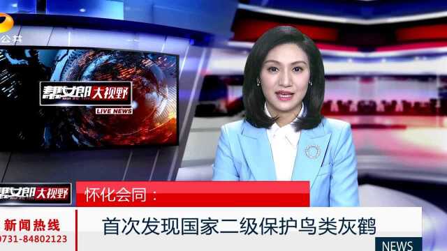 怀化会同:首次发现国家二级保护鸟类灰鹤