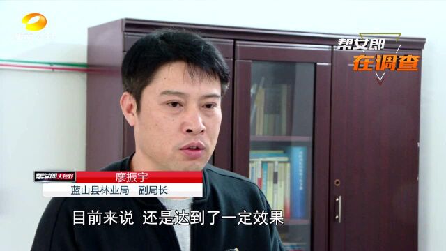 “铁腕”治理,湖南守护“千年鸟道”在行动