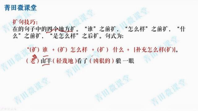 小升初语文总复习8:扩句、缩句、仿句做题技巧