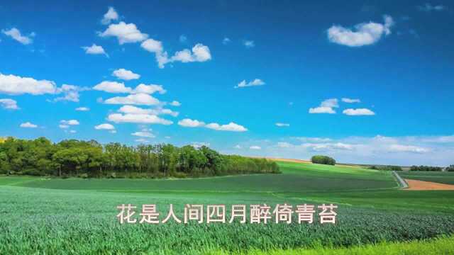 音乐紫堂宿风花雪月歌曲MV