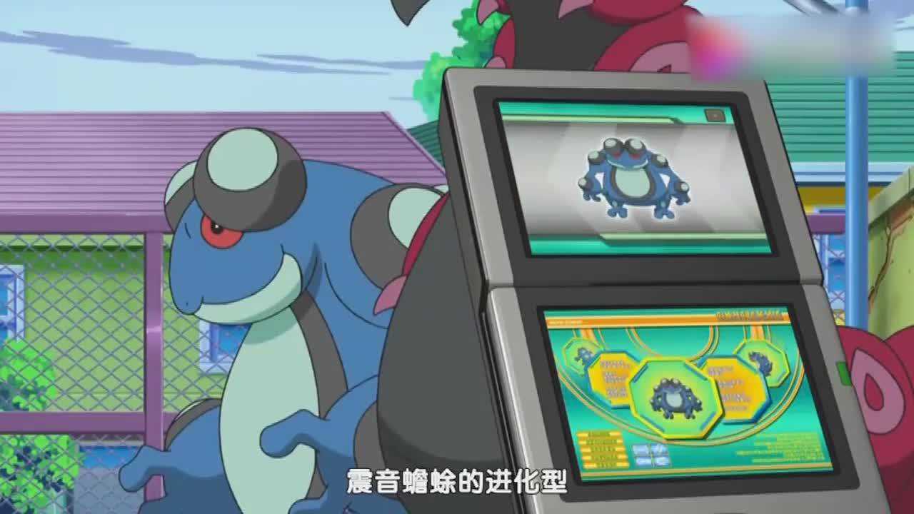 神奇宝贝,这是小智第一次见到蓝蟾蜍的进化型