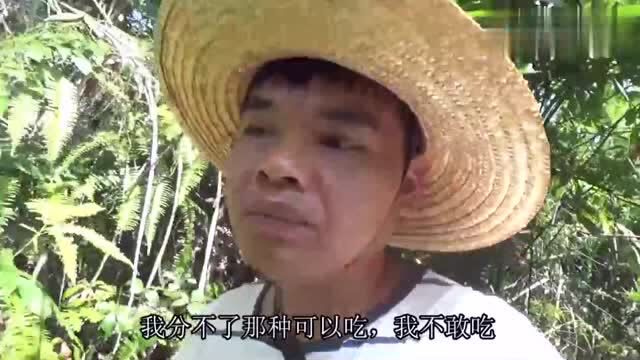 农村大叔上山顶找血藤,意外发现这种野果,能吃吗?