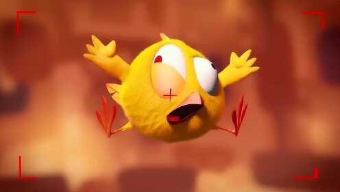 《小鸡Jaki在哪儿》小鸡丑萌拍照