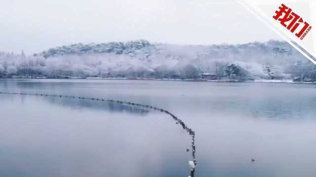 下了雪的杭州仿佛梦幻冰雪世界 皑皑雪景刷屏朋友圈