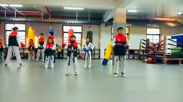 TKD品势——太极五章