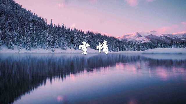 一曲《雪情》凄美悲情,动人心弦!