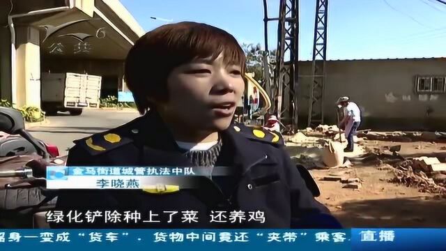 占用绿化带建厂房 城管强拆补种绿化