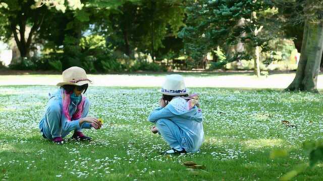 新西兰南岛植物园之旅,阳光之城兰卡威