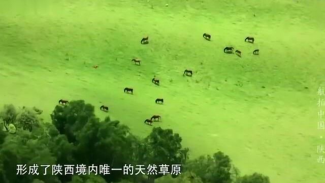 航拍中国:关山草原是陕西境内唯一的天然草原