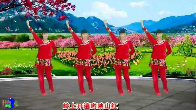 32步广场舞《映山红》入门零基础,动听的歌曲,简单易学附教学