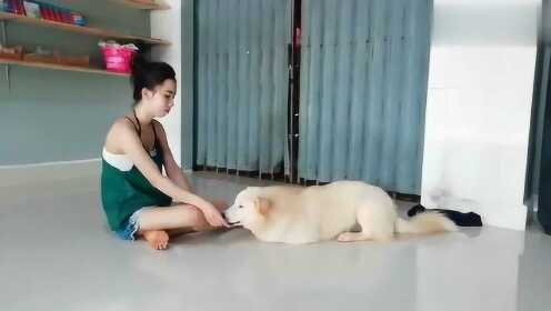 Thumbplayer Poster Plugin Image