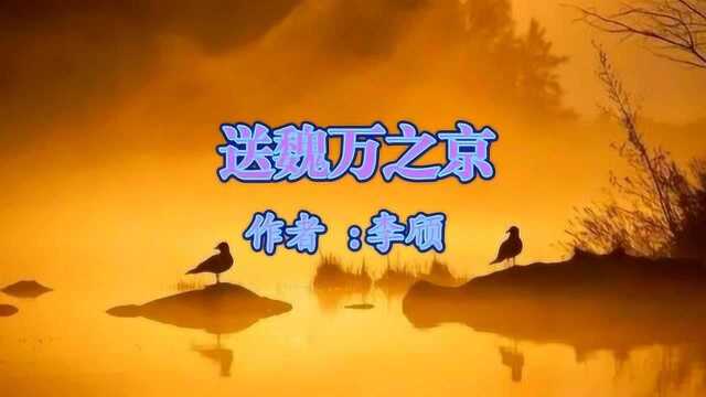 《送魏万之京》李颀 视频朗诵“莫见长安行乐处 空令岁月易蹉跎”