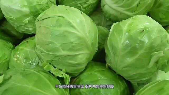 包菜被誉为“天然养胃菜”,它对人体有哪些好处?原来有这么多营养!