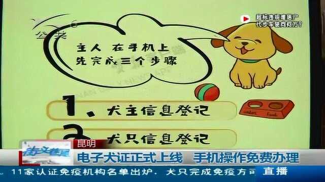 电子养犬证正式上线 手机操作免费办理