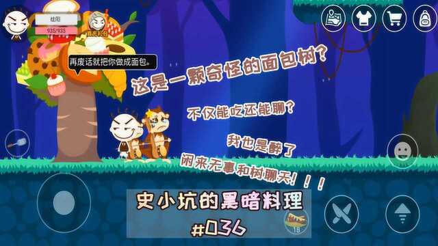 史小坑的黑暗料理36:闲来无事竟对着面包树说话?一颗神奇的树!