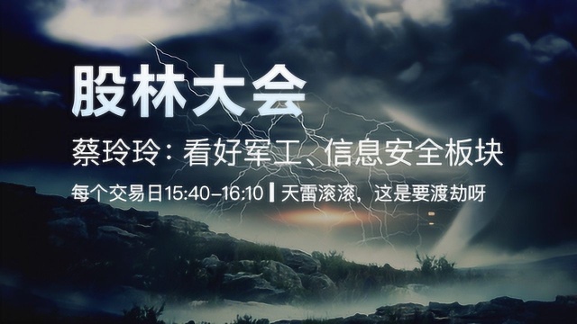 蔡玲玲:回补仓位 看好军工、信息安全板块