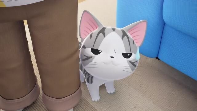 甜甜私房猫:猫咪的服装