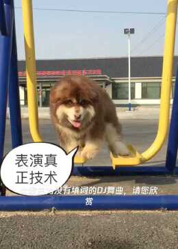是时候表演真正技术的