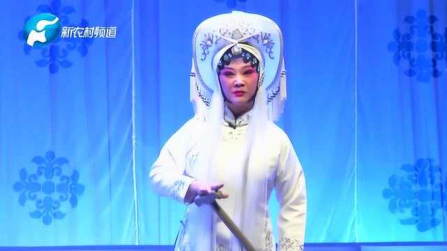 党玉倩上演豫剧《胡凤莲》,名家名段,精彩表演不容错过!