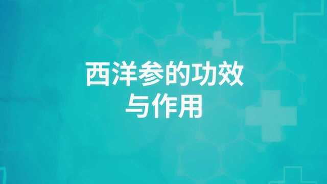 西洋参的功效与作用有哪些?