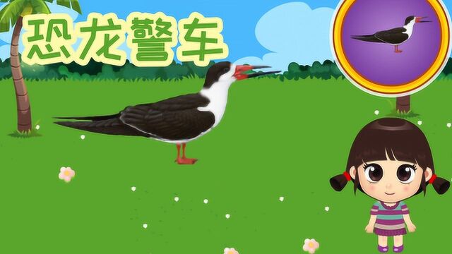 可乐姐姐玩游戏:宝宝拼图游戏 剪嘴鸥为什么叫这个名字呢