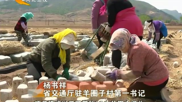 河北省交通厅:精准施策 当好脱贫攻坚“铺路人”