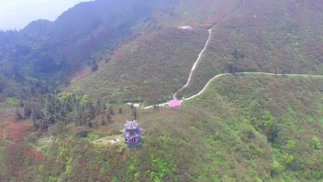 航拍贵州丹寨龙泉山,有万亩杜鹃花,丹寨最热闹的一座山!