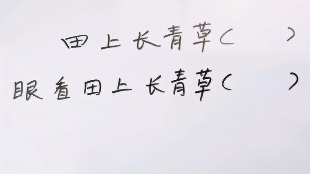 字谜“田上长青草”,语文课代表3秒猜出来,你呢?