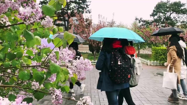 中国社会科学院大学