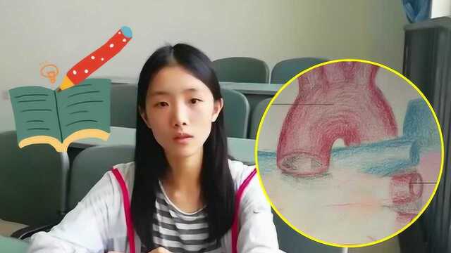 被学医耽误的灵魂画手 医学生手绘解剖图超逼真