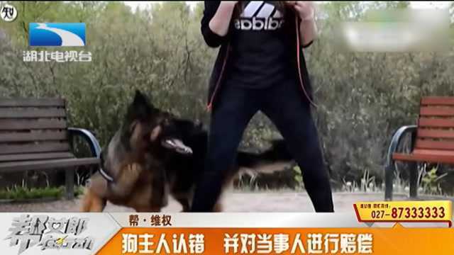 恶犬伤人咬狗,还是个“惯犯”,居民联名投诉:把这条狗铲除