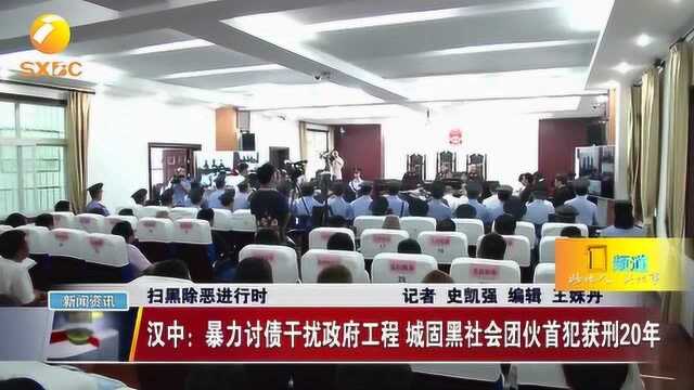 汉中:暴力讨债干扰政府工程,城固黑社会团伙首犯获刑20年