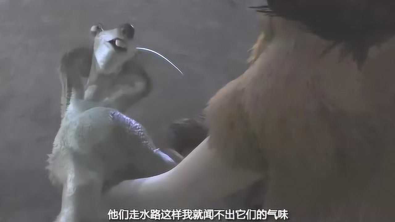 冰河世纪在树懒希德讲完自己的故事后猛犸象曼尼很快睡着了